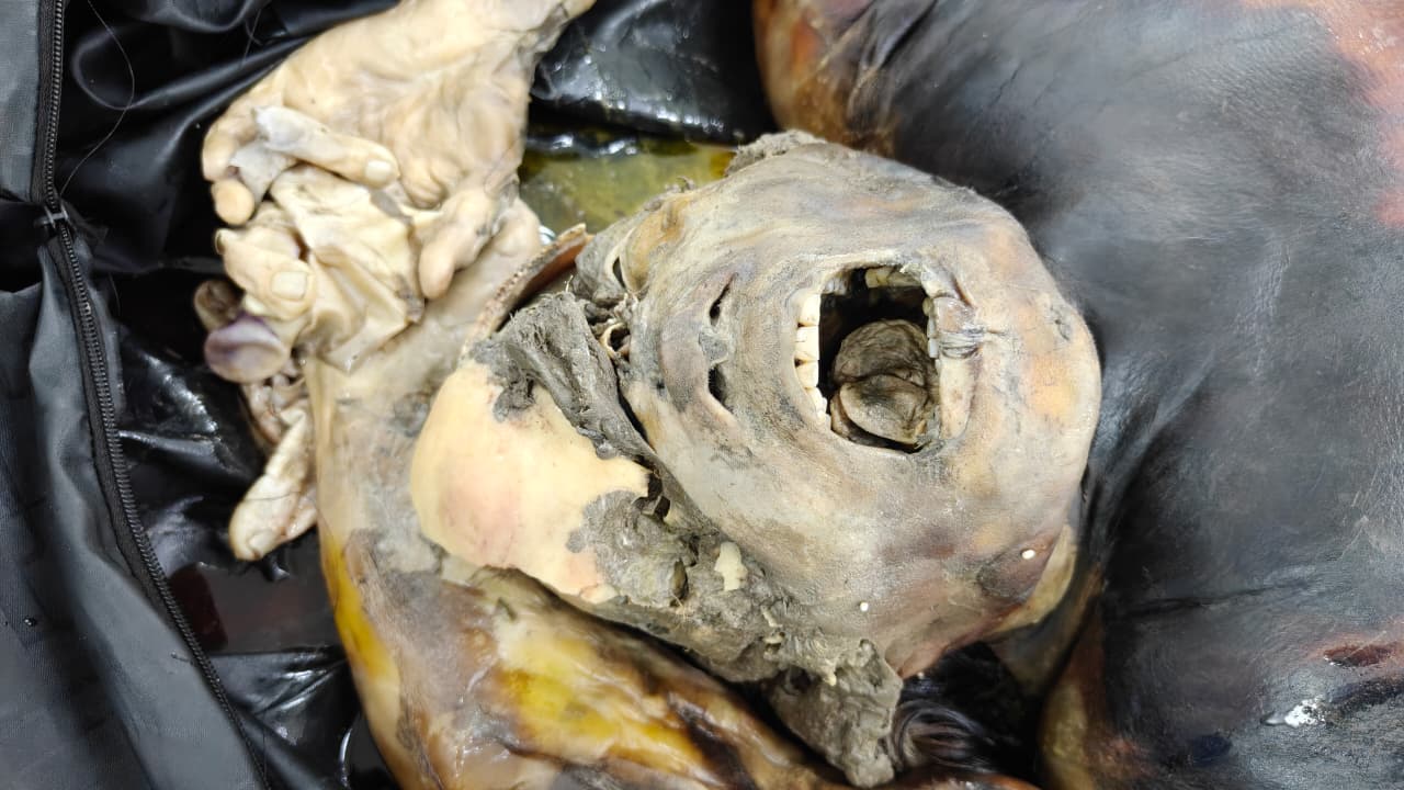 Front Image