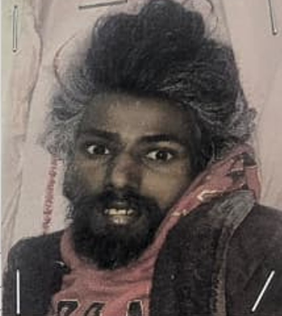 Uploaded Image