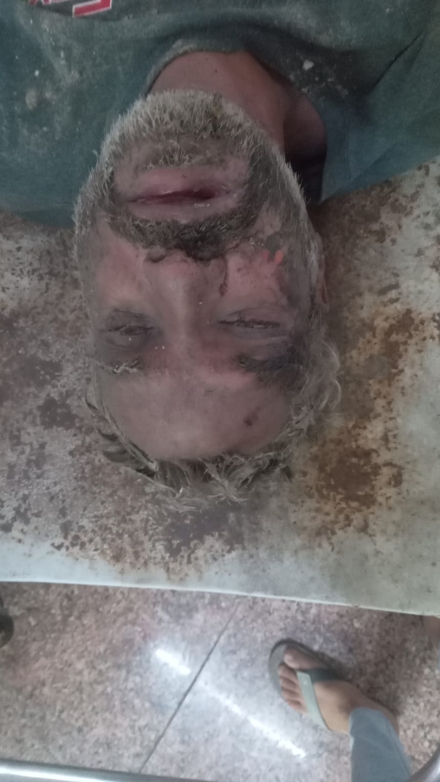 Uploaded Image