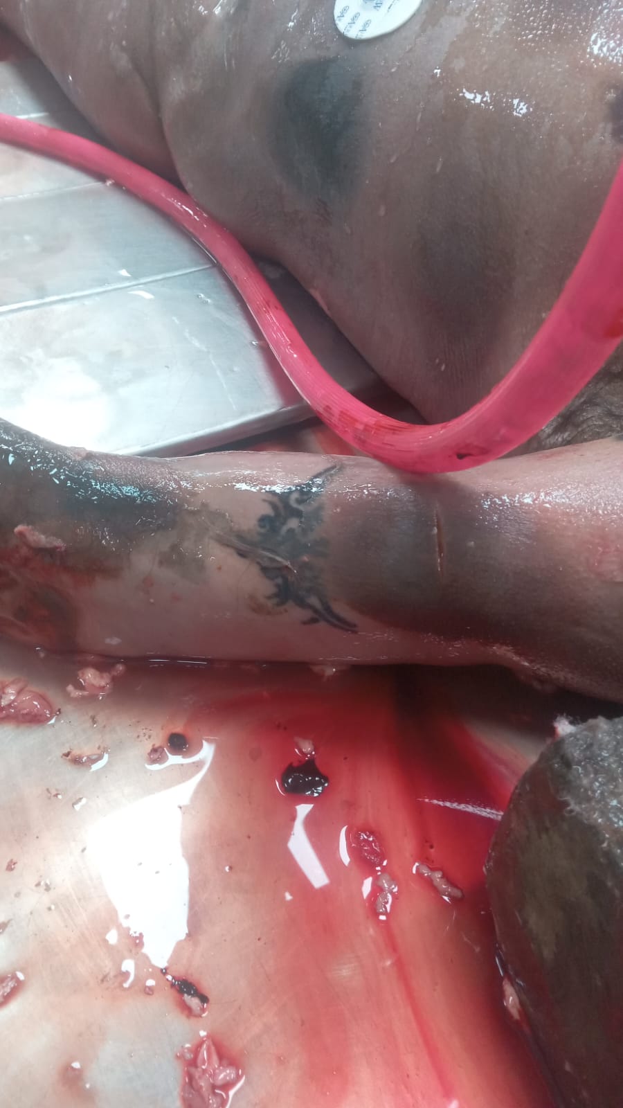 Tattoo Image
