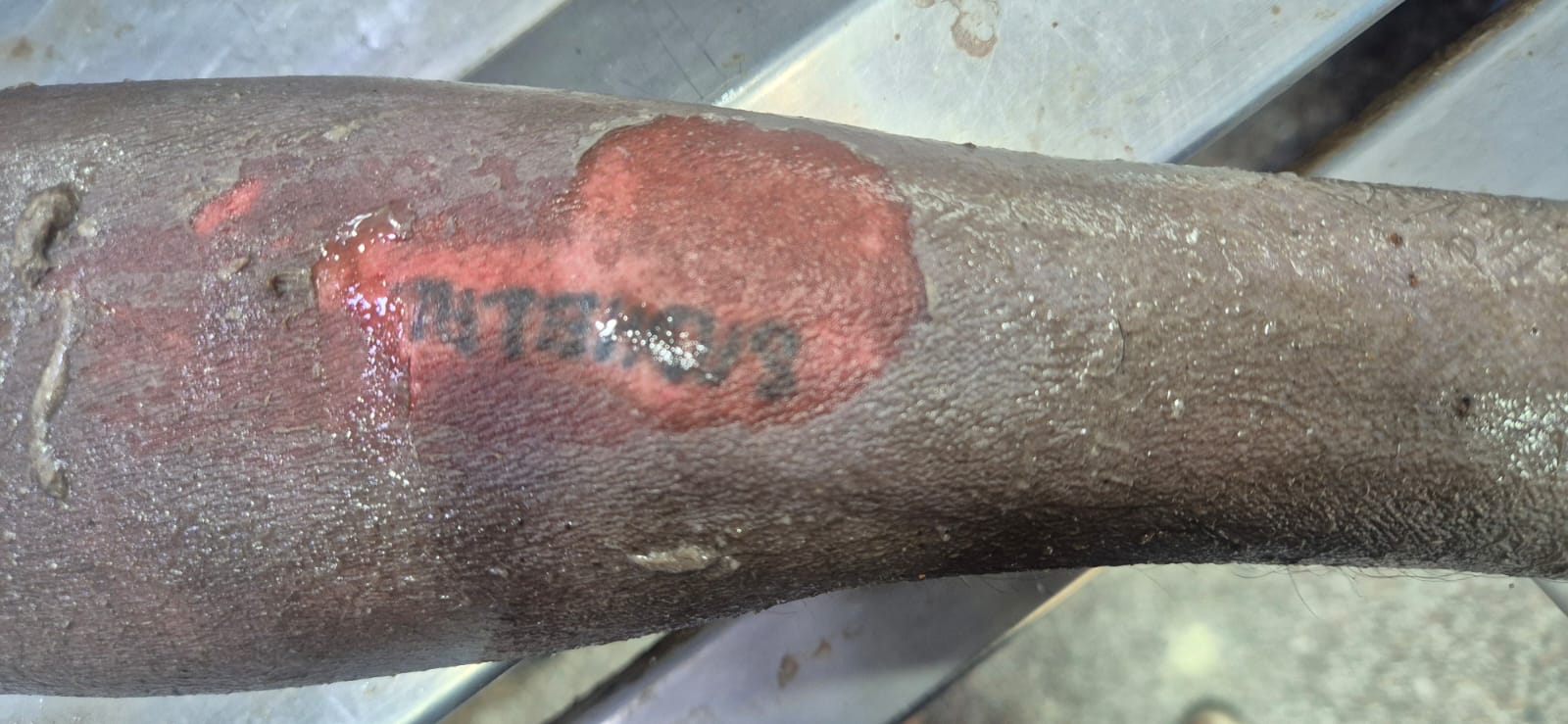 Tattoo Image