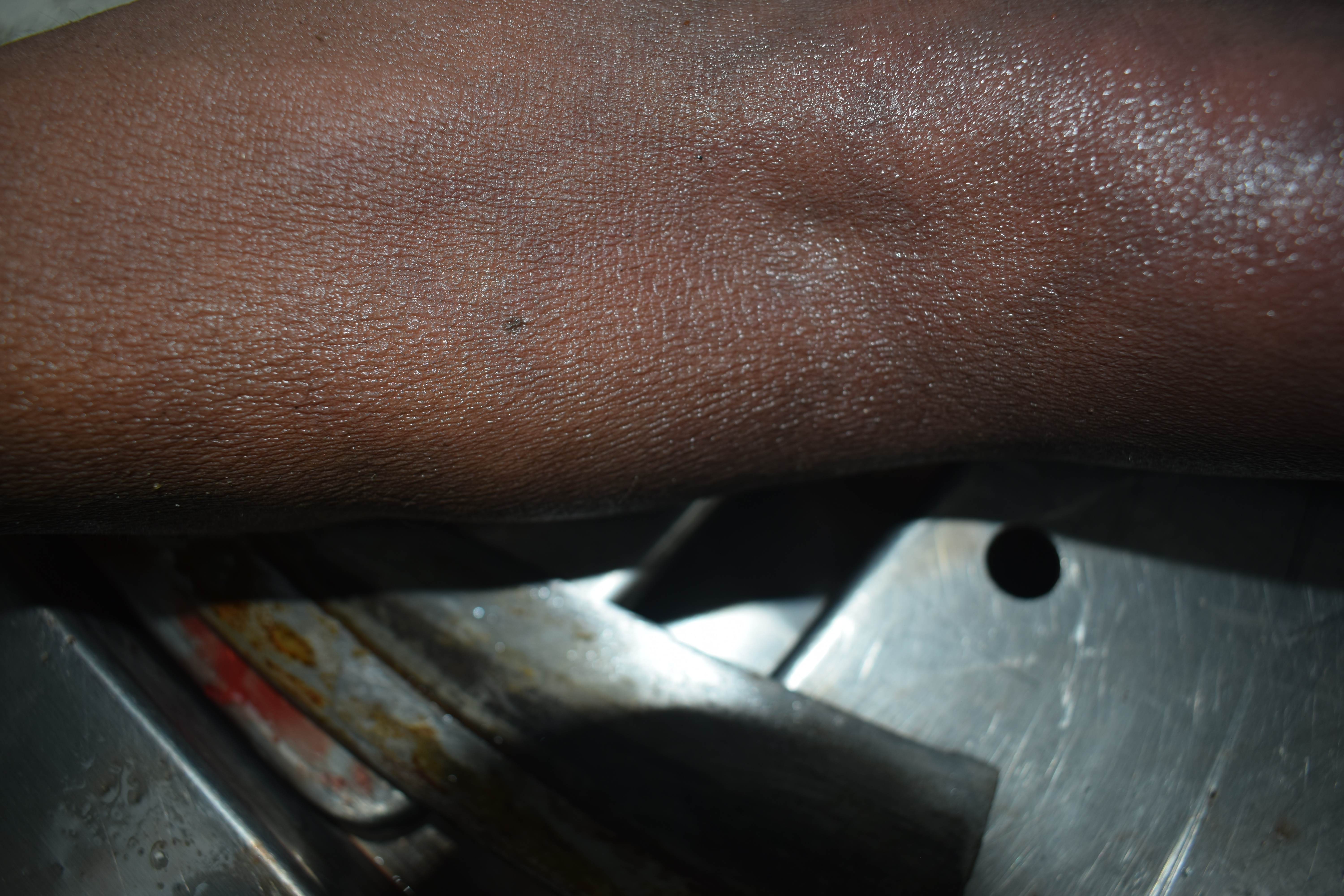 Tattoo Image